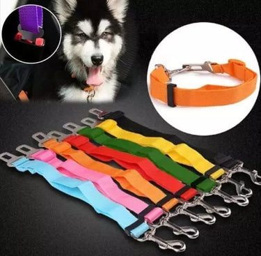 Correa Cinturon de Seguridad Pet Coche